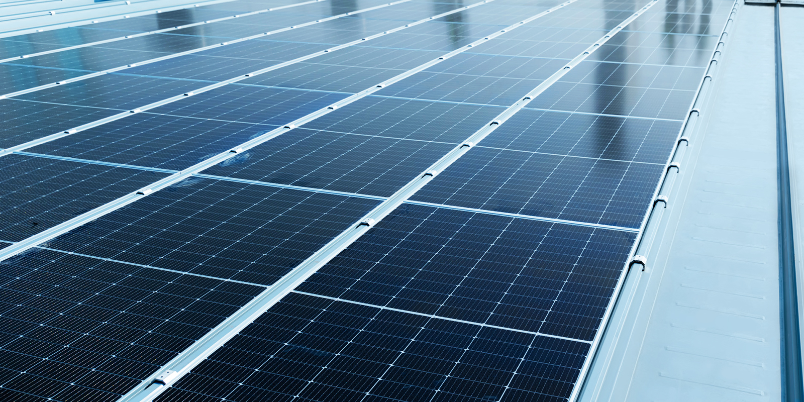 AG真人APP下载_AG真人·「中国」官方网站