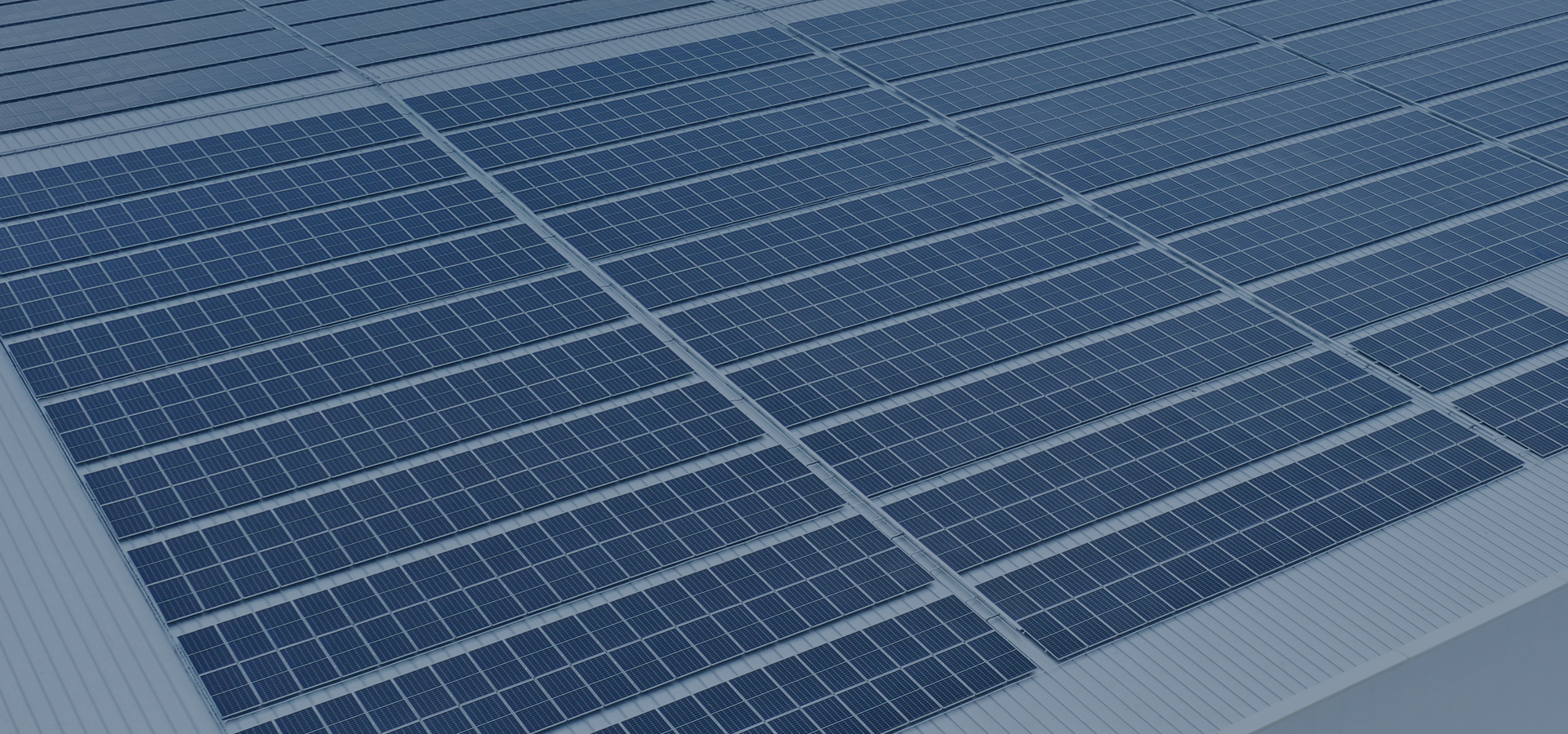 AG真人APP下载_AG真人·「中国」官方网站